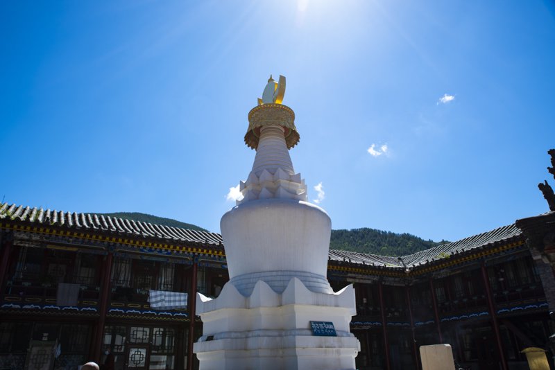 走进天台——感受五台山佛教文化的魅力